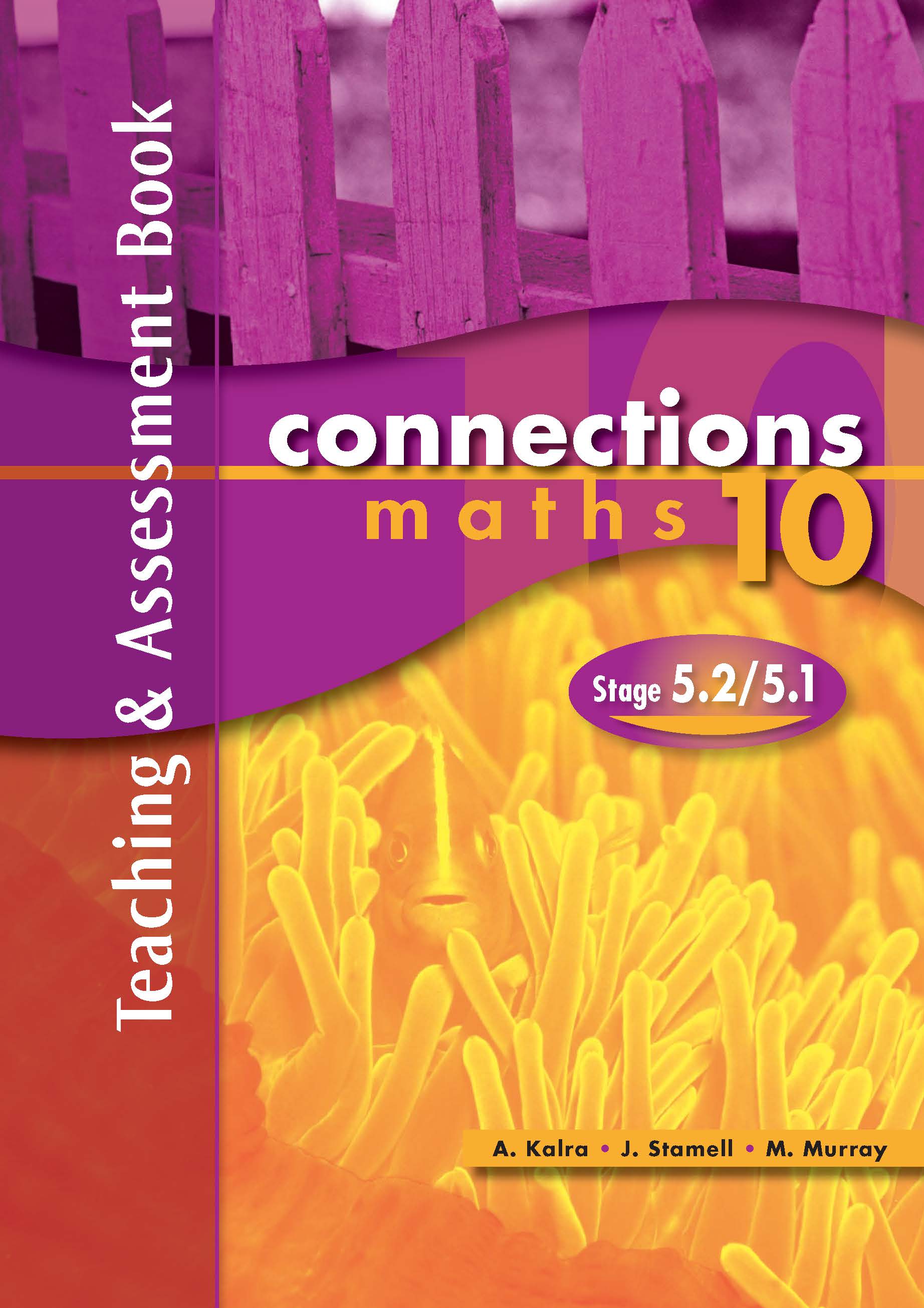 圖片 Pascal Press Connections Maths 10 Stage 5.2/5.1 Teaching & Assessment book Year 10